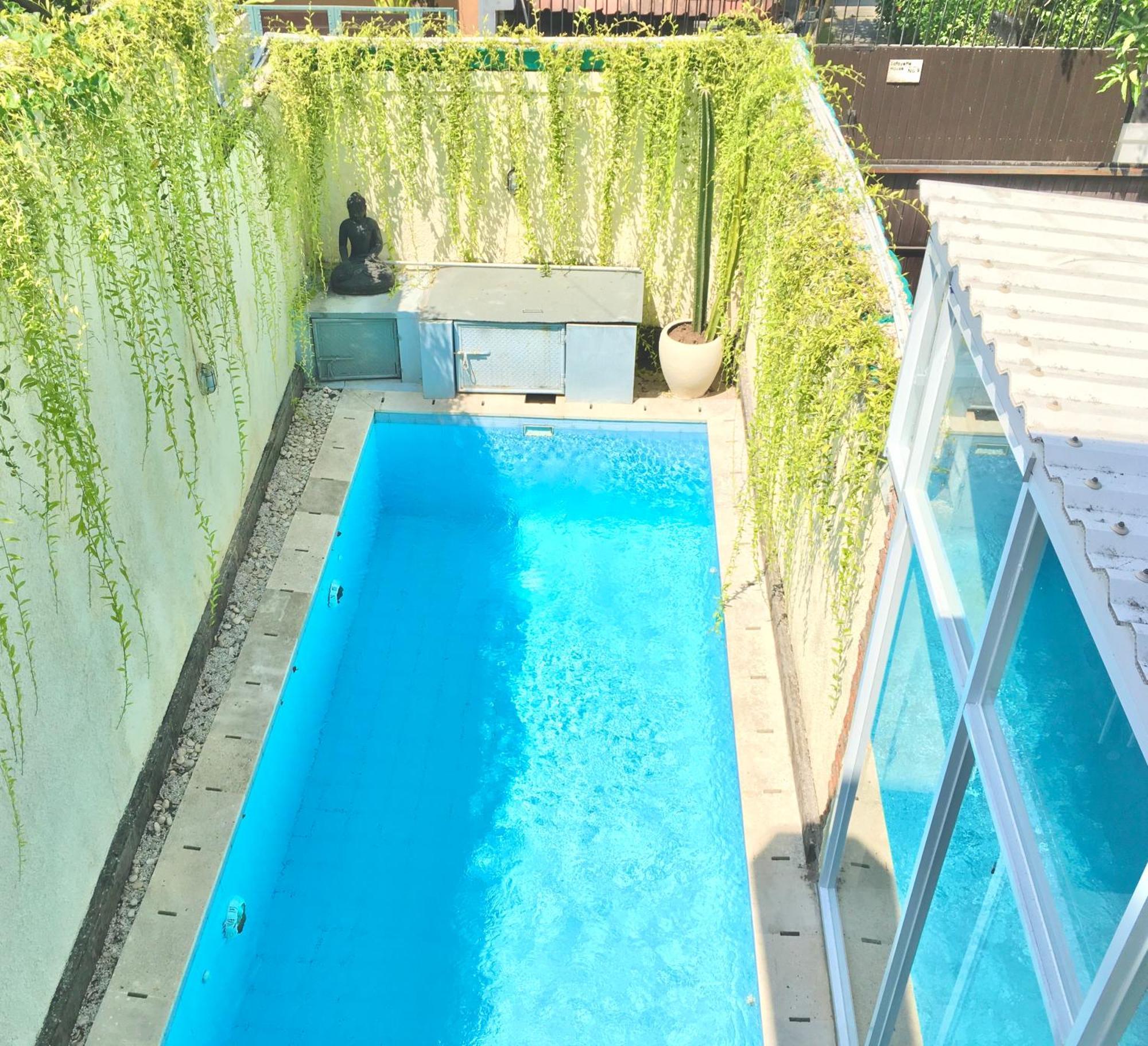 Jalak Kembar * Canggu (Bali)
