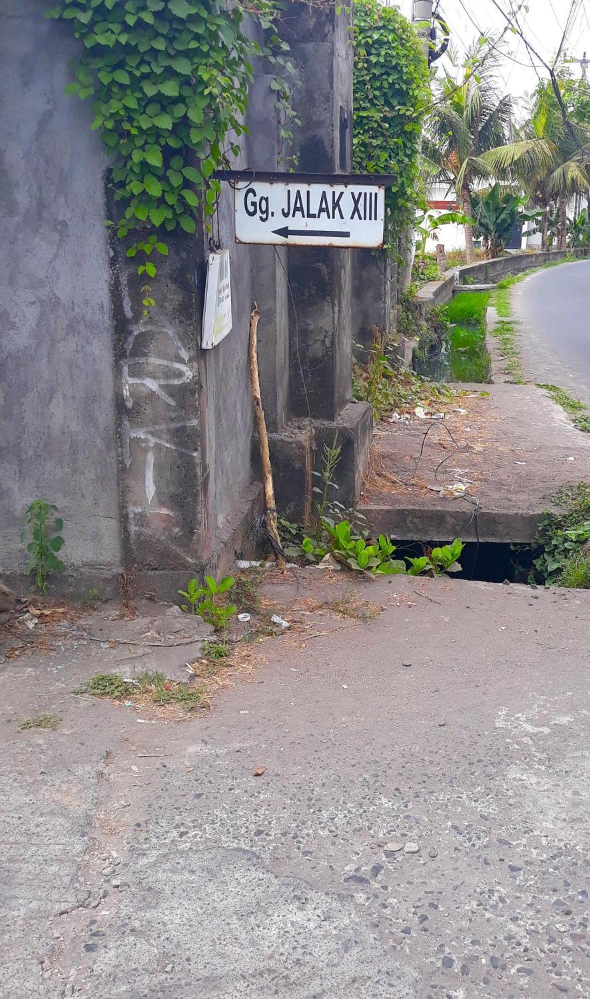 विला Jalak Kembar Canggu (Bali)
